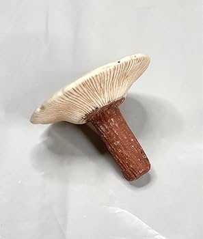 藤田匠平　ぐい呑み 藤田匠平 ぐい呑み スナ・フジタ展 うつわの中の物語」 石果